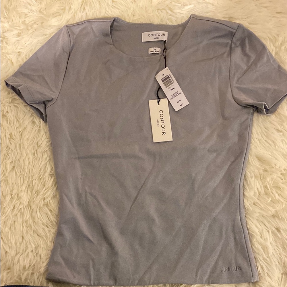 Aritzia Contour Metallic Crew Neck T-Shirt - Picture 9 of 12